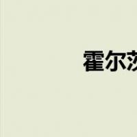 霍尔茨（关于霍尔茨的介绍）