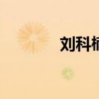 刘科楠（关于刘科楠的介绍）