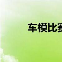车模比赛（关于车模比赛的介绍）