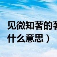 见微知著的著是什么意思啊（见微知著的著是什么意思）