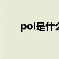 pol是什么单位（pol是什么的缩写）