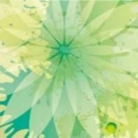 芒市属于哪个市