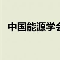 中国能源学会（关于中国能源学会的介绍）