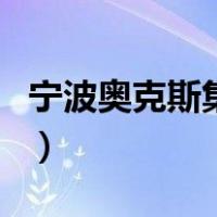 宁波奥克斯集团（关于宁波奥克斯集团的介绍）