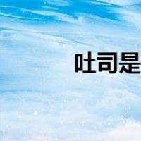 吐司是什么意思（吐司是什么）