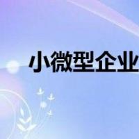 小微型企业和中小微企业（小微型企业）