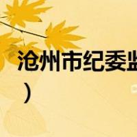 沧州市纪委监委刘国兴（沧州市纪委监察网站）