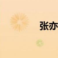张亦弛名字分析（张亦弛）