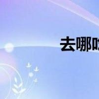 去哪吃（关于去哪吃的介绍）