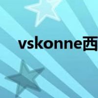 vskonne西装属于什么档次（vskonne）