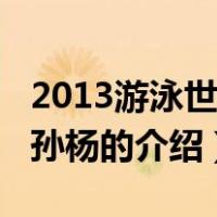 2013游泳世锦赛孙杨（关于2013游泳世锦赛孙杨的介绍）
