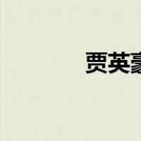 贾英豪（关于贾英豪的介绍）