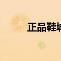 正品鞋城（关于正品鞋城的介绍）