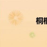 桐桐惊艳的照片（桐桐）