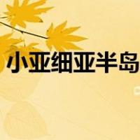 小亚细亚半岛和巴尔干半岛（小亚细亚半岛）