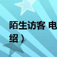 陌生访客 电视剧（关于陌生访客 电视剧的介绍）