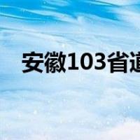 安徽103省道（关于安徽103省道的介绍）