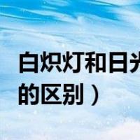 白炽灯和日光灯哪个功率高（白炽灯和日光灯的区别）