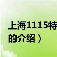 上海1115特大火灾（关于上海1115特大火灾的介绍）