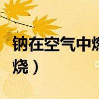 钠在空气中燃烧的化学方程式（钠在空气中燃烧）