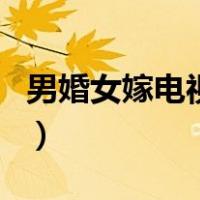 男婚女嫁电视剧（关于男婚女嫁电视剧的介绍）