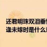 还君明珠双泪垂恨不相逢什么意思（还君明珠双泪垂恨不相逢未嫁时是什么意思）