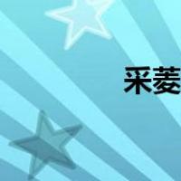 采菱简谱伴奏（采菱简谱）