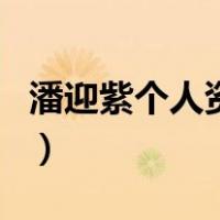 潘迎紫个人资料（关于潘迎紫个人资料的介绍）
