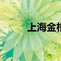 上海金相（关于上海金相的介绍）