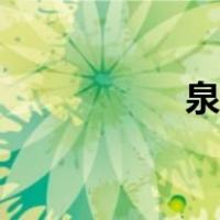 泉州肉粽（泉州肉粽）
