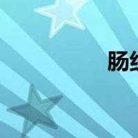 肠组词100个（肠组词）