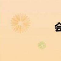 会计如何在网上报税