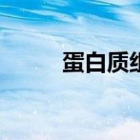 蛋白质组（关于蛋白质组的介绍）