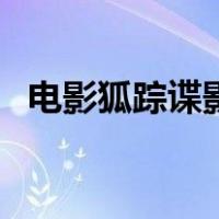 电影狐踪谍影（关于电影狐踪谍影的介绍）