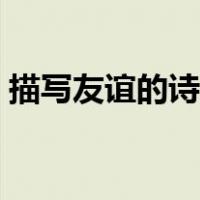 描写友谊的诗句古诗大全（描写友谊的诗句）