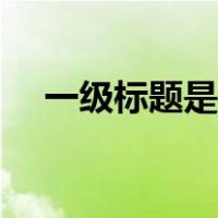 一级标题是什么字体（一级标题是什么）