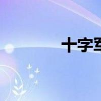 十字军骑士团（十字军骑士）