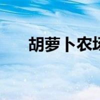 胡萝卜农场（关于胡萝卜农场的介绍）