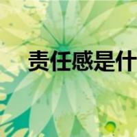责任感是什么定义（责任感是什么意思）