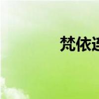 梵依连（关于梵依连的介绍）