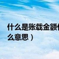 什么是账载金额什么是税收金额（账载金额和税收金额是什么意思）