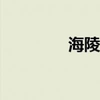 海陵岛酒店（海陵岛酒店）