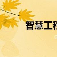 智慧工程（关于智慧工程的介绍）