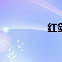 红剑鱼怎么养（红剑鱼）