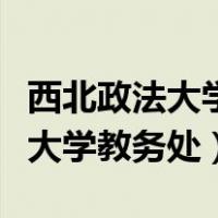 西北政法大学教务处系统登录入口（西北政法大学教务处）