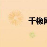 千橡网（关于千橡网的介绍）