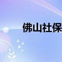 佛山社保局电话热线（佛山社保局）