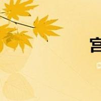 宫墙柳txt（宫墙柳）