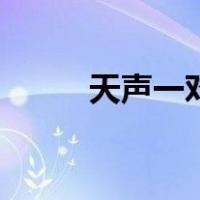 天声一对（关于天声一对的介绍）