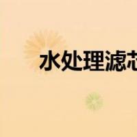 水处理滤芯（关于水处理滤芯的介绍）